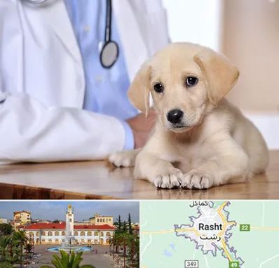 بیمارستان دامپزشکی در رشت