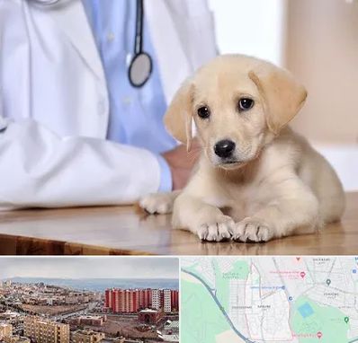 بیمارستان دامپزشکی در سهند تبریز