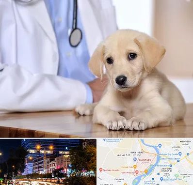 بیمارستان دامپزشکی در کیانپارس اهواز