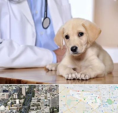 بیمارستان دامپزشکی در منطقه 18 تهران