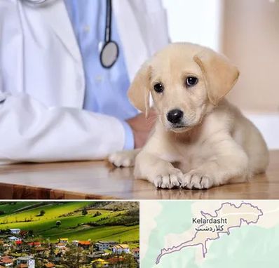 بیمارستان دامپزشکی در کلاردشت