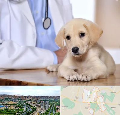 بیمارستان دامپزشکی در شهریار