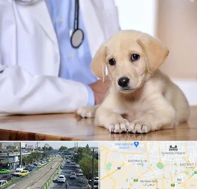 بیمارستان دامپزشکی در جنوب تهران