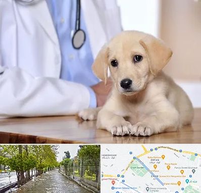 بیمارستان دامپزشکی در خیابان ارم شیراز