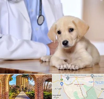 بیمارستان دامپزشکی در شهر ری