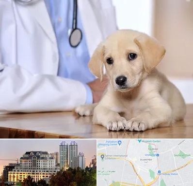 بیمارستان دامپزشکی در فرشته 