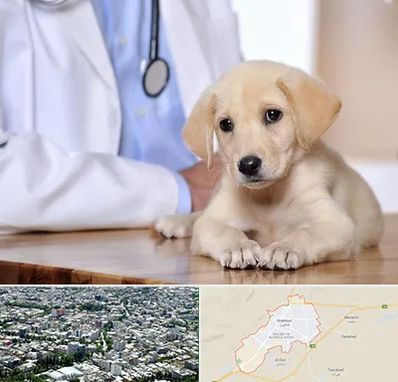 بیمارستان دامپزشکی در شاهرود