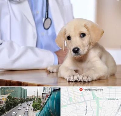 بیمارستان دامپزشکی در بلوار فرحزادی