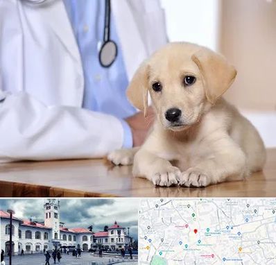 بیمارستان دامپزشکی در میدان شهرداری رشت