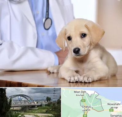 بیمارستان دامپزشکی در چالوس