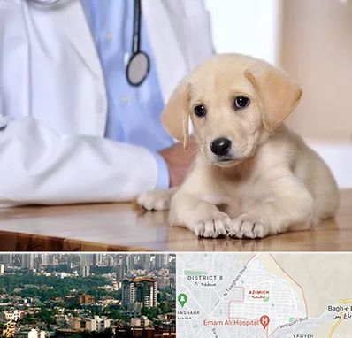 بیمارستان دامپزشکی در عظیمیه کرج