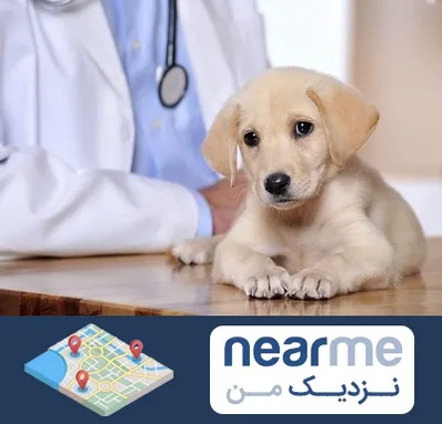 بیمارستان دامپزشکی در نزدیک من
