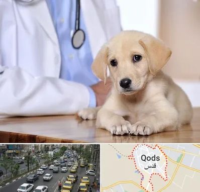 بیمارستان دامپزشکی در شهر قدس