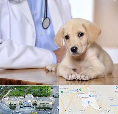 بیمارستان دامپزشکی در نسیم شهر