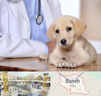 بیمارستان دامپزشکی در بانه