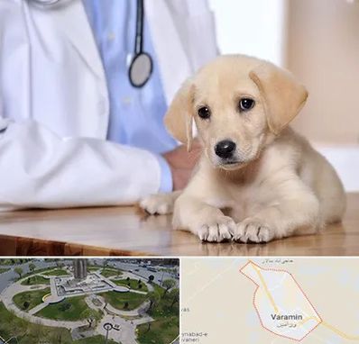 بیمارستان دامپزشکی در ورامین