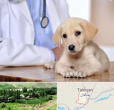 بیمارستان دامپزشکی در طالقان