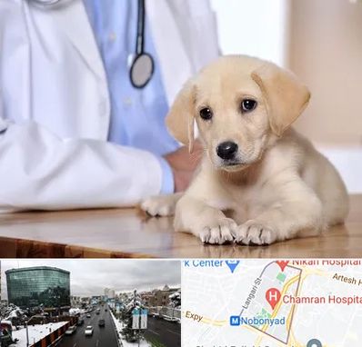 بیمارستان دامپزشکی در اقدسیه