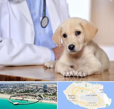 بیمارستان دامپزشکی در کیش