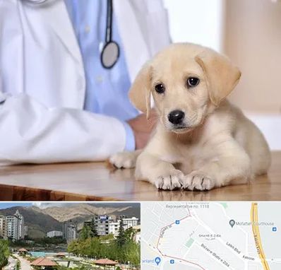 بیمارستان دامپزشکی در شهر زیبا