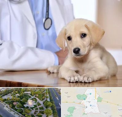 بیمارستان دامپزشکی در کاشمر