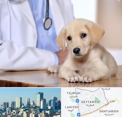 بیمارستان دامپزشکی در قیطریه