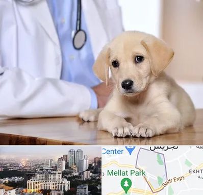 بیمارستان دامپزشکی در الهیه 