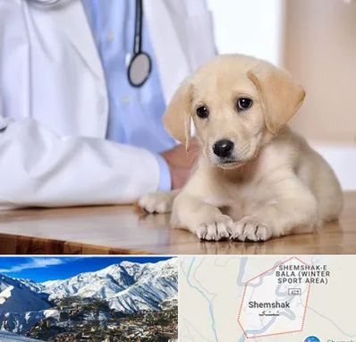 بیمارستان دامپزشکی در شمشک