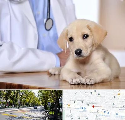 بیمارستان دامپزشکی در میرداماد