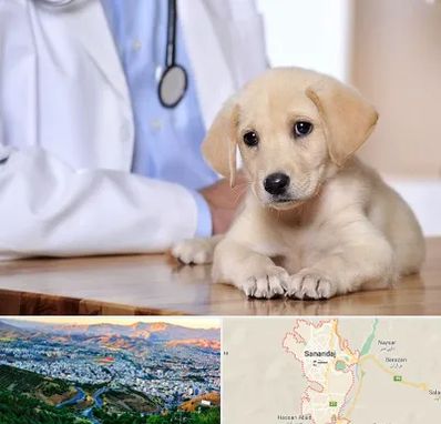 بیمارستان دامپزشکی در سنندج