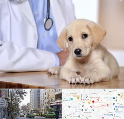 بیمارستان دامپزشکی در فاطمی