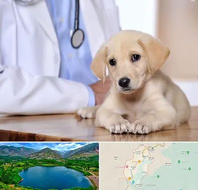 بیمارستان دامپزشکی در رودبار