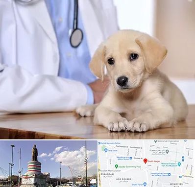 بیمارستان دامپزشکی در کارگر جنوبی