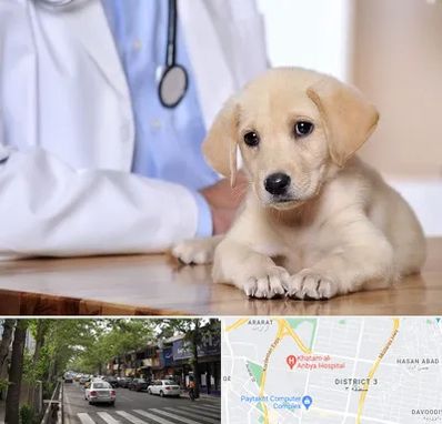 بیمارستان دامپزشکی در ظفر 