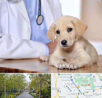 بیمارستان دامپزشکی در قدوسی غربی شیراز