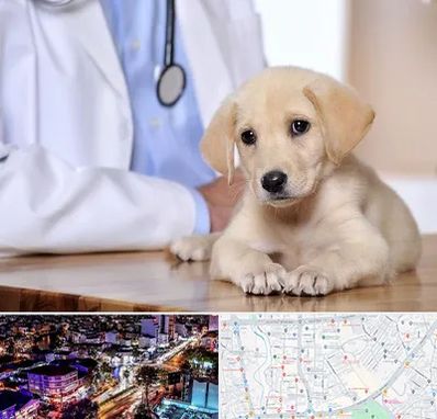 بیمارستان دامپزشکی در منظریه رشت