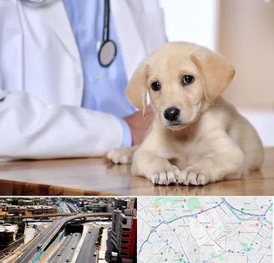 بیمارستان دامپزشکی در ستارخان شیراز