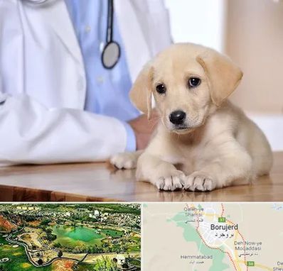 بیمارستان دامپزشکی در بروجرد