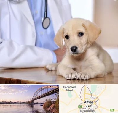 بیمارستان دامپزشکی در اهواز
