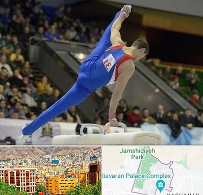 باشگاه ژیمناستیک در نیاوران 