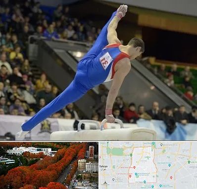 باشگاه ژیمناستیک در منطقه 6 تهران