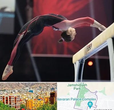 باشگاه ژیمناستیک بانوان در نیاوران 