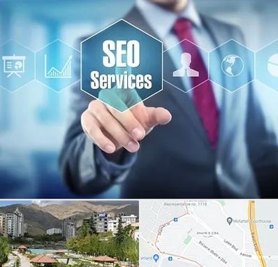 شرکت سئو سایت در شهر زیبا