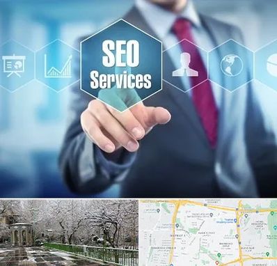 شرکت سئو سایت در باغ فیض