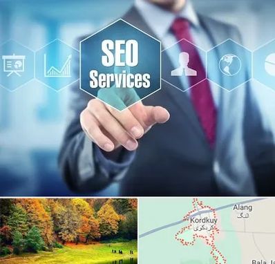 شرکت سئو سایت در کردکوی