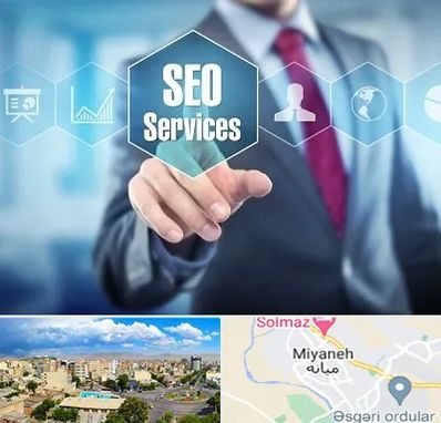 شرکت سئو سایت در میانه