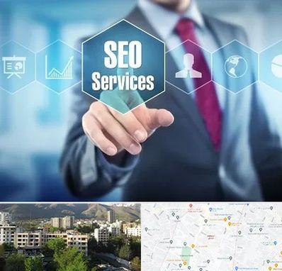 شرکت سئو سایت در دیباجی