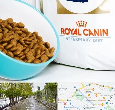 فروشگاه رویال کنین در خیابان ارم شیراز