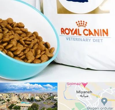 فروشگاه رویال کنین در میانه