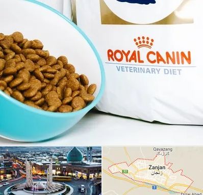 فروشگاه رویال کنین در زنجان